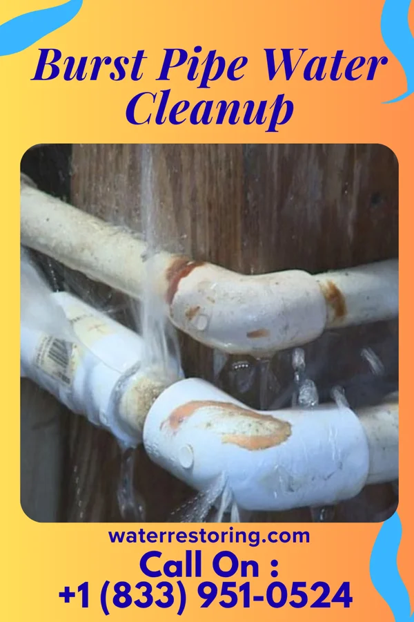 Burst Pipe Water Cleanup in Newfield, NJ