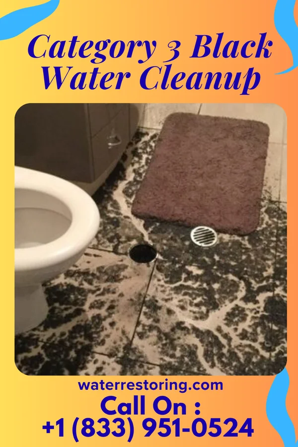 Category 3 Black Water Cleanup in Newfield, NJ