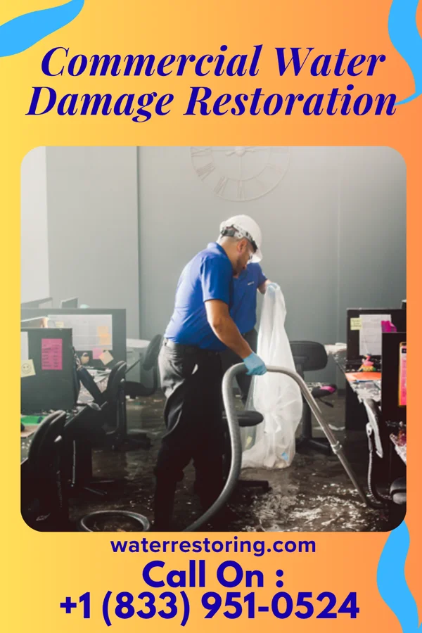 Commercial Water Damage Restoration in Newfield, NJ