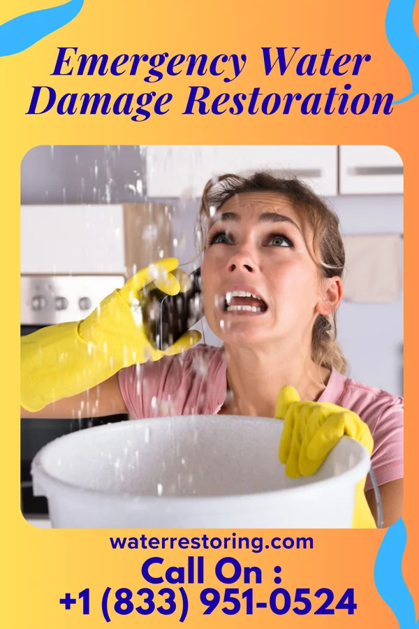 Emergency Water Damage Restoration in Newfield, NJ