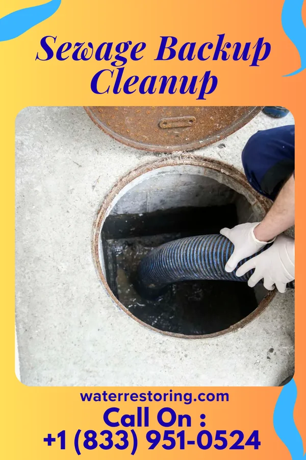 Sewage Backup Cleanup in Newfield, NJ